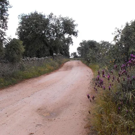 La Venta Del Charco